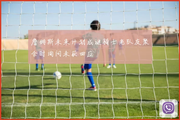 詹姆斯未来计划成谜骑士老队友聚会时询问未获回应